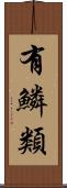 有鱗類 Scroll