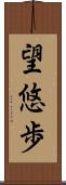 望悠歩 Scroll