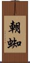 朝蜘 Scroll