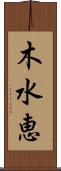 木水恵 Scroll
