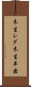 木生シダ Scroll