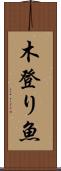 木登り魚 Scroll