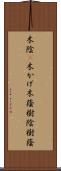 木陰(P);木かげ;木蔭;樹陰;樹蔭 Scroll