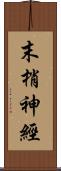 末梢神經 Scroll