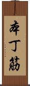 本丁筋 Scroll