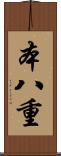 本八重 Scroll