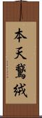 本天鵞絨 Scroll