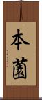 本薗 Scroll