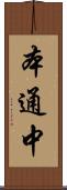 本通中 Scroll