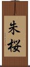 朱桜 Scroll
