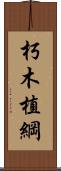 朽木植綱 Scroll