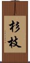 杉枝 Scroll