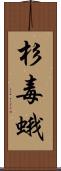 杉毒蛾 Scroll
