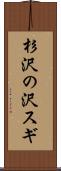 杉沢の沢スギ Scroll