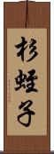 杉蛭子 Scroll