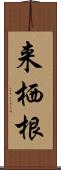 来栖根 Scroll