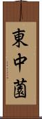 東中薗 Scroll