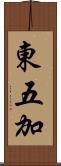 東五加 Scroll
