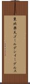 東北楽天ゴールデンイーグルス Scroll