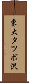 東大タツボ沢 Scroll