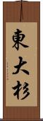 東大杉 Scroll