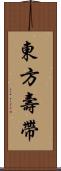 東方壽帶 Scroll