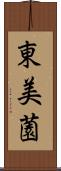東美薗 Scroll