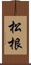 松根 Scroll