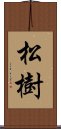 松樹 Scroll