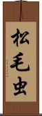松毛虫 Scroll