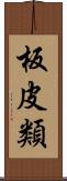 板皮類 Scroll