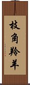 枝角羚羊 Scroll