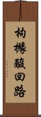 枸櫞酸回路 Scroll