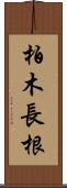 柏木長根 Scroll