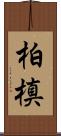柏槙 Scroll