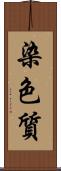 染色質 Scroll