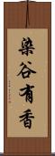 染谷有香 Scroll