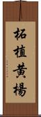 柘植 Scroll