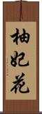 柚妃花 Scroll
