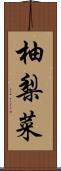 柚梨菜 Scroll