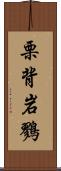 栗背岩鷚 Scroll