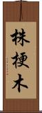 株梗木 Scroll