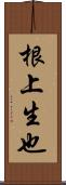 根上生也 Scroll
