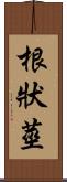 根狀莖 Scroll