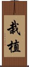 栽植 Scroll