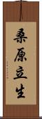 桑原立生 Scroll