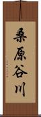 桑原谷川 Scroll