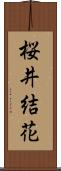桜井結花 Scroll
