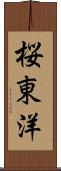 桜東洋 Scroll