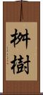 桝樹 Scroll